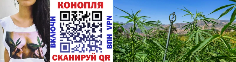MEGA как зайти  Орлов  Бошки Шишки VHQ  купить  